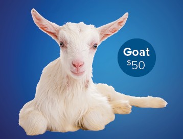 Read more about the article December Special Offering