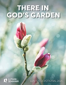Read more about the article Download the 2025 Lent Devotional